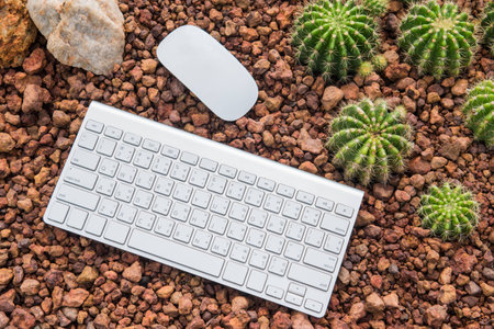 View from above of office supplies on a nature background.の写真素材