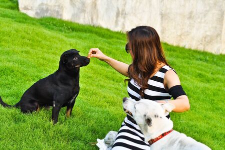 Woman giving to food with white and black dog