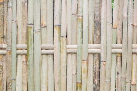 Bamboo fenceの写真素材