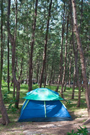Tent in the forestの写真素材