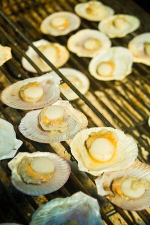 Shellfish grilled on the gratingの写真素材