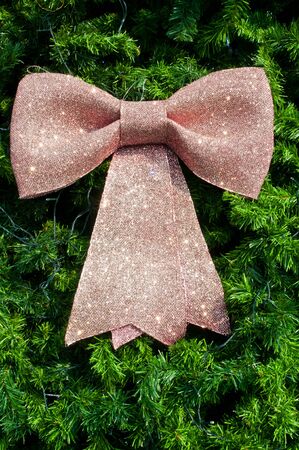 Big bow on christmas treeの写真素材