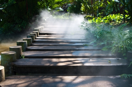 Wooden footbridge with foggyの写真素材