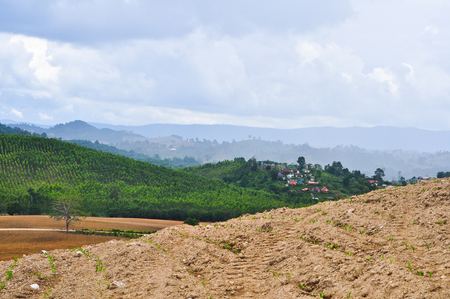  Cultivation landscapeの写真素材