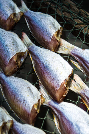 Dried salted fish on rope net 