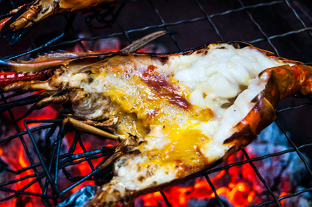 Grilled big shrimpの写真素材