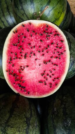 Huge flies eating watermelonの写真素材