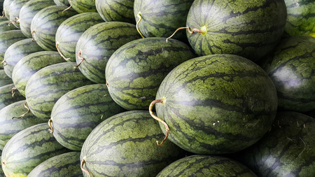 Business of watermelon for sale in the wholesale market of Thailandの写真素材