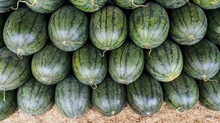 Top view of watermelon in the marketの写真素材