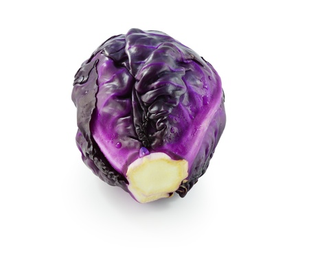Fresh red cabbage vegetable on white backgroundの写真素材