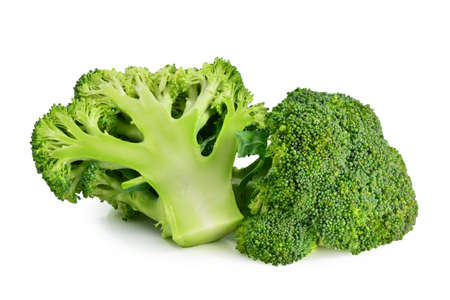 Broccoli on a white backgroundの写真素材
