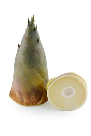 Bamboo shoot isolated on whiteの写真素材