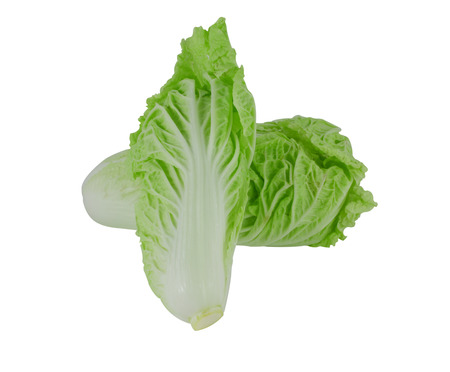 lettuce on white backgroundの写真素材