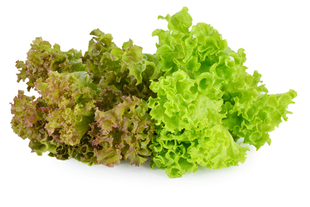 fresh red  lettuce leaves isolated on whiteの写真素材