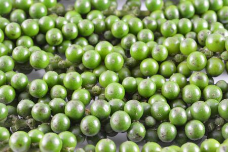  fresh green peppercorns の写真素材