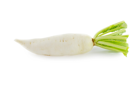 White radish on white backgroundの写真素材
