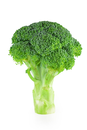 Broccoli on white backgroundの写真素材