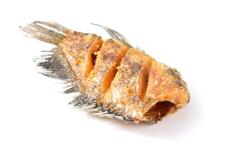 fried fish isolated
