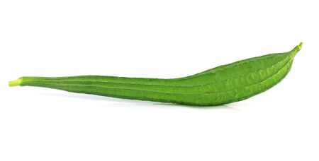 zucchiniの写真素材