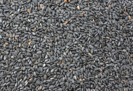 Sesame seeds horizontal backgroundの写真素材