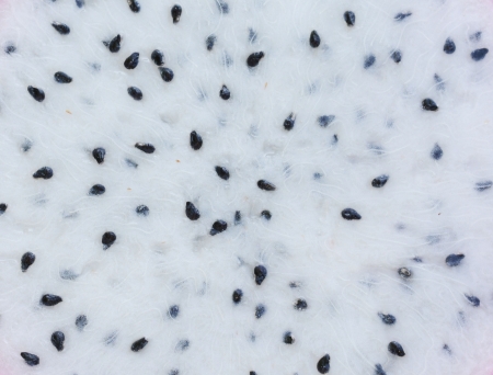 Dragon fruit backgroundの写真素材