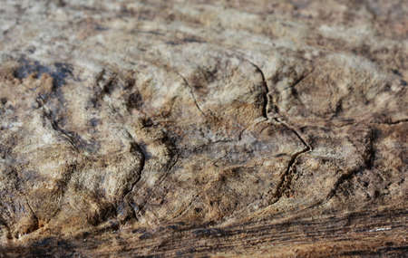 Old wooden backgroundの写真素材