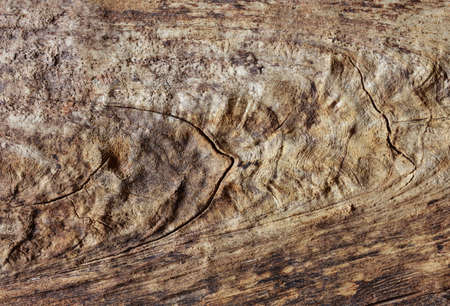 Old wooden backgroundの写真素材