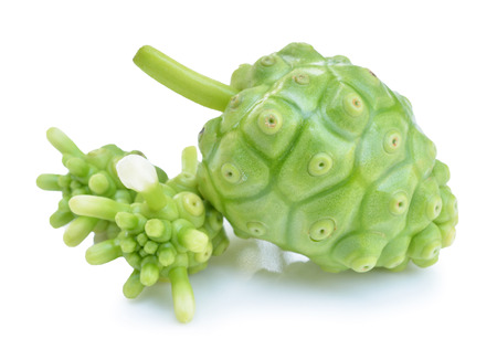Noni on whiteの写真素材