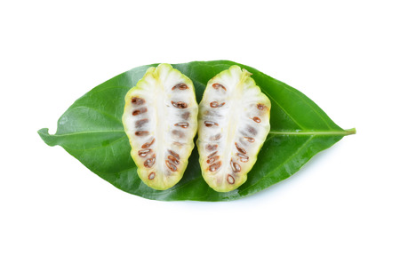 Noni on whiteの写真素材