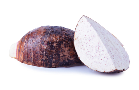 Taro rootの写真素材