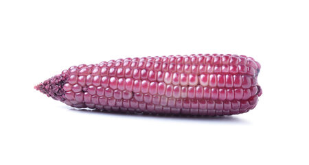 Corn pile on white background