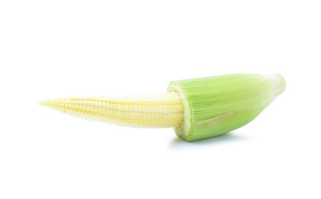 baby cornの写真素材