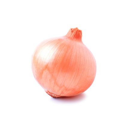 Ripe onion on a white backgroundの写真素材