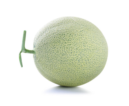 cantaloupe melon isolated on white backgroundの写真素材