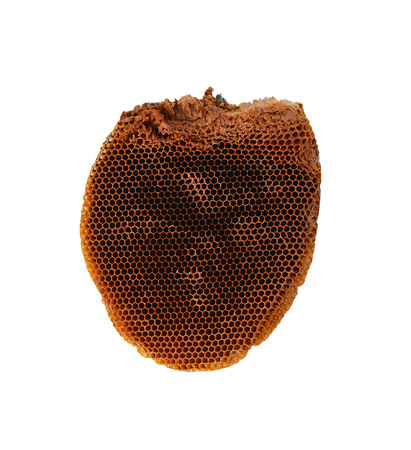 bee honeycombs are taken off a large planの写真素材