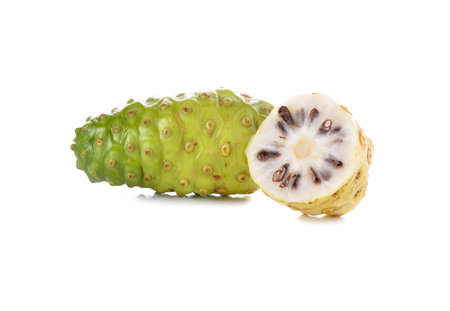 Noni on whiteの写真素材