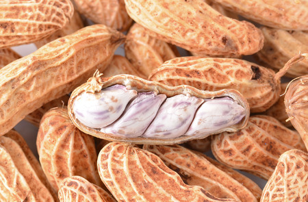 beans on  background