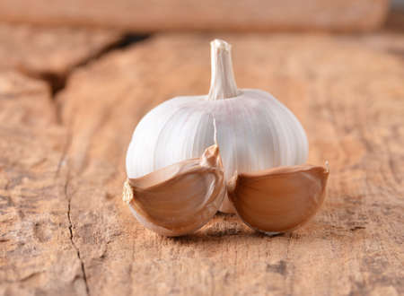 Garlic on  background.の写真素材