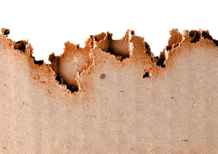 paper texture, can be used as backgroundの写真素材