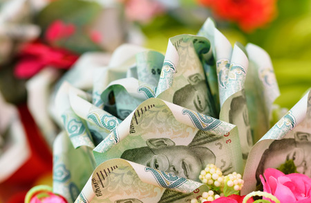 money flower on  backgroundの写真素材