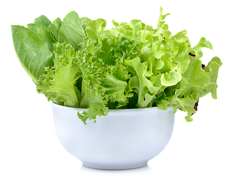 fresh  lettuce leaves isolated on whiteの写真素材