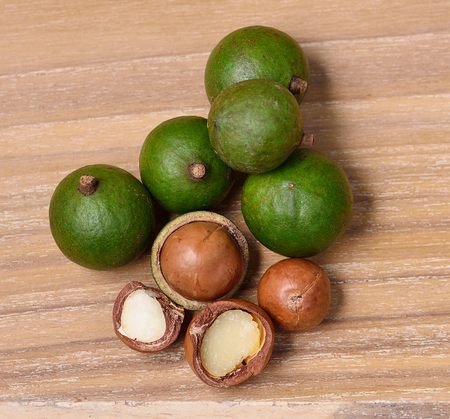macadamia nuts isolated on wooden backgroundの写真素材