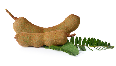 Tamarind isolated on white backgroundの写真素材