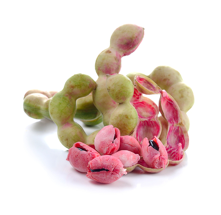 manila tamarind on white backgroundの写真素材