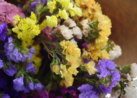 Bouquet of Dry Flowers isolated on a background.