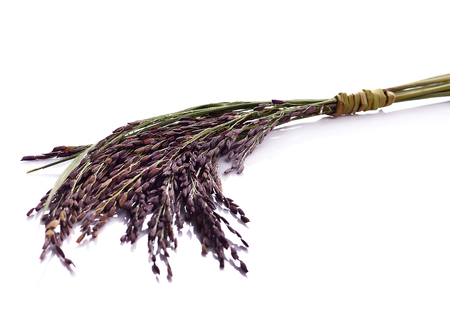 Thai Red Jasmine rice (Rice berry)の写真素材