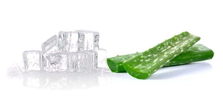 aloe vera fresh leaf and ice cubes on white backgroundの写真素材