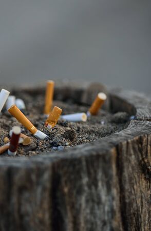 Smoked Cigarettes Butts in a Dirty Ashtray Big Bin.の写真素材