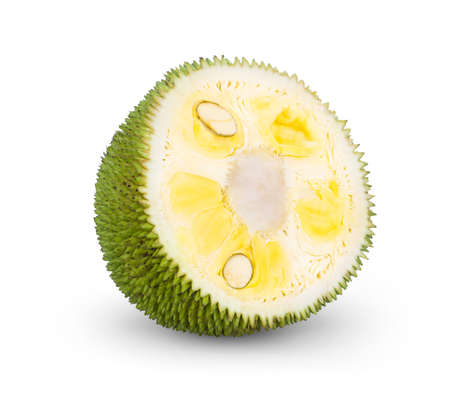 Jackfruit with isolated on white background