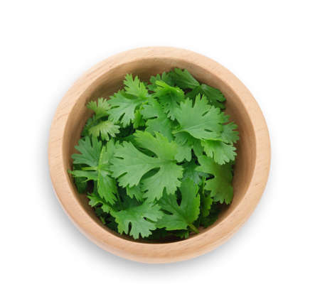 coriander leaves isolated on white backgroundの写真素材